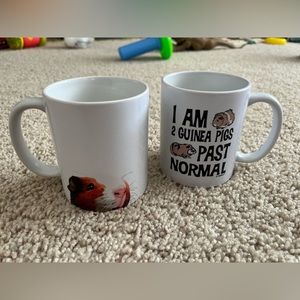 Guinea pig coffee cup bundle